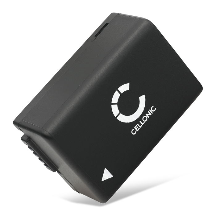 BP-DC9 Battery for Leica V-LUX 2 V-LUX 3 800mAh Camera Battery Replacement BP-DC9