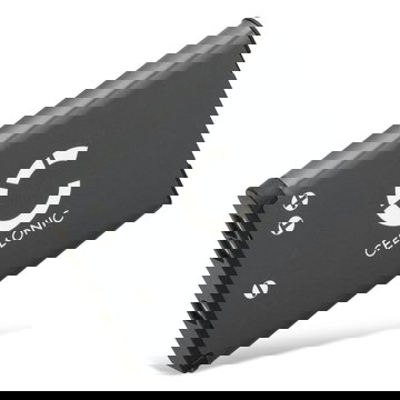 EN-EL19 NP-BJ1 Battery for Nikon CoolPix W150 W100, A100 A300, S33 S2600 S2700 S2800 S3100 S3300 S3500 S3700, S7000, RX0 II 700mAh Camera Battery Replacement ENEL19