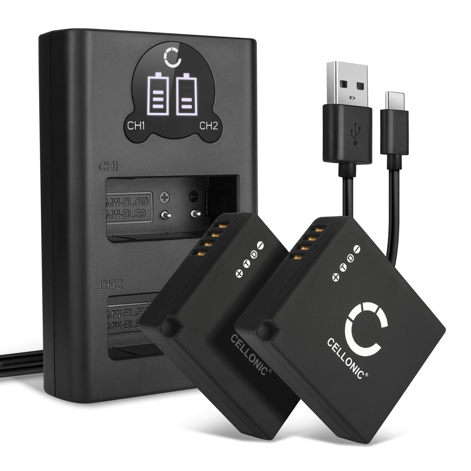 2x Battery for Panasonic GX9 GX7 GF6 LX100 II + Dual Charger
