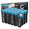 24 pcs AA Standard batteries 2900mAh